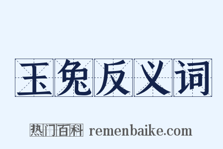 玉兔反义词是什么意思的图片